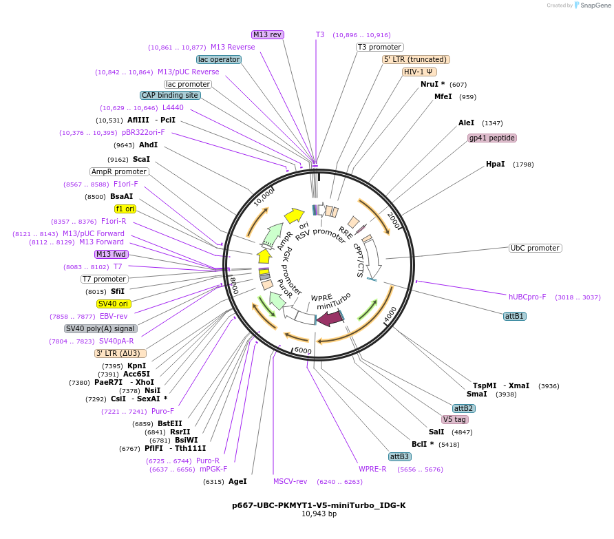 311576_map