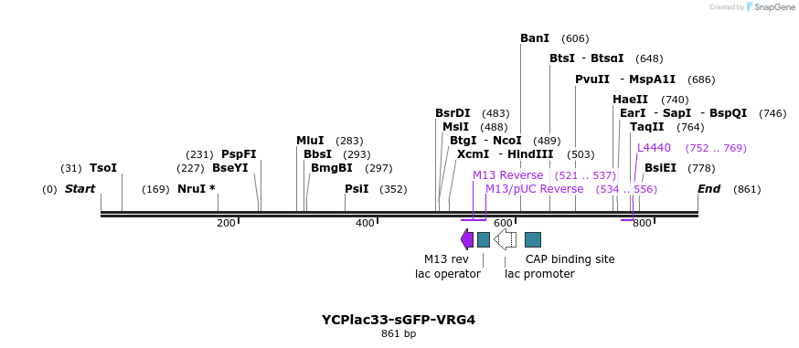 31159_map