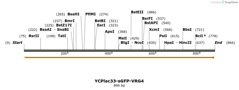 31160_map