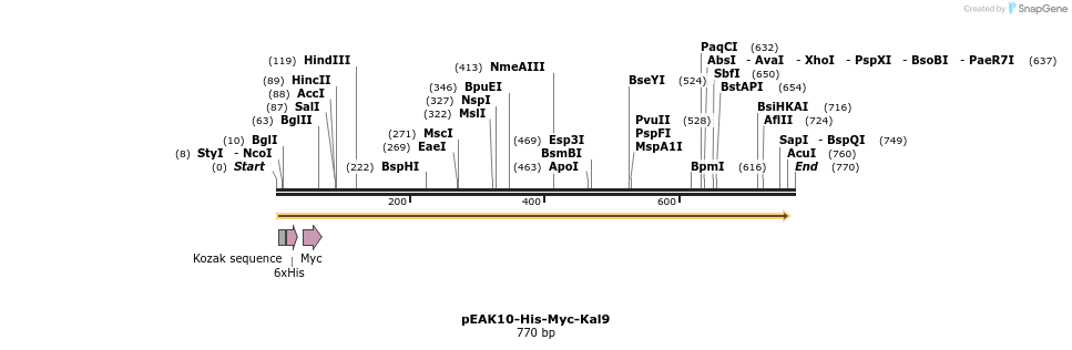 31166_map