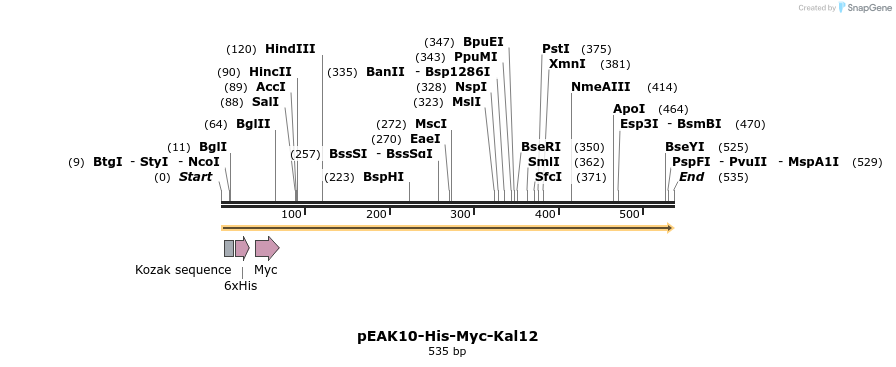 31167_map