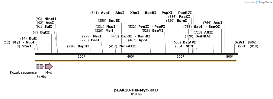 31168_map