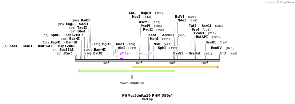 31169_map