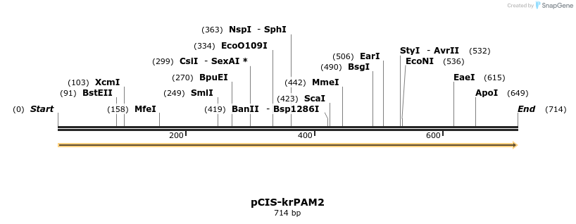31171_map