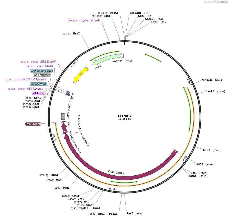 311722_map
