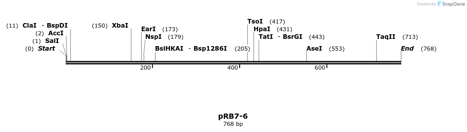 31173_map