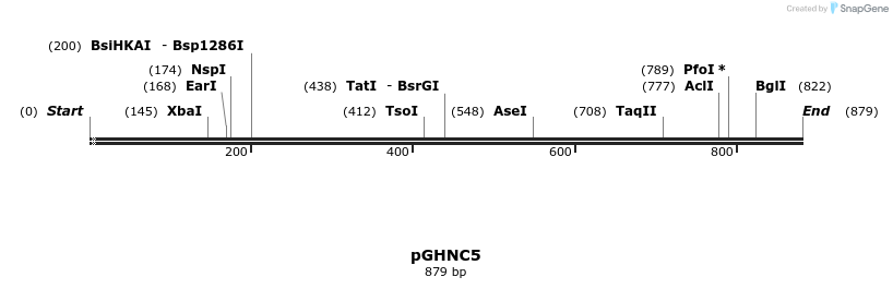 31174_map