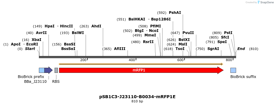 311742_map