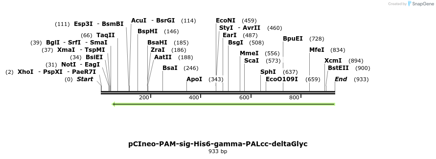 31175_map