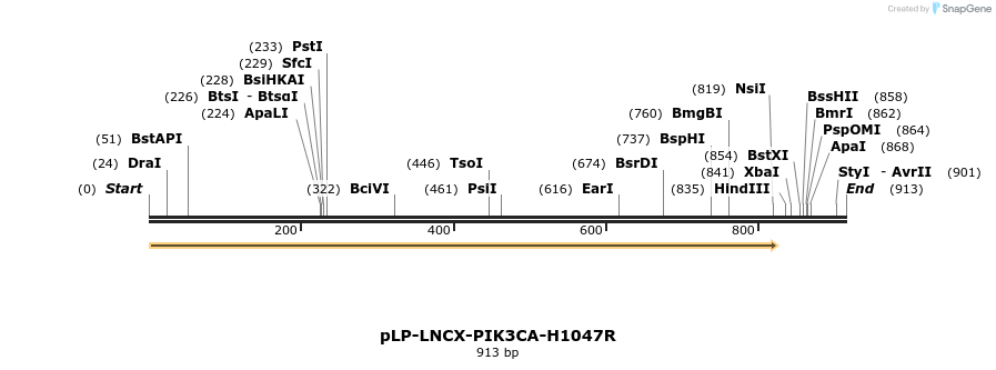 31178_map