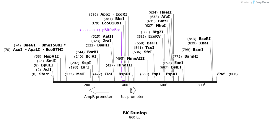 31182_map
