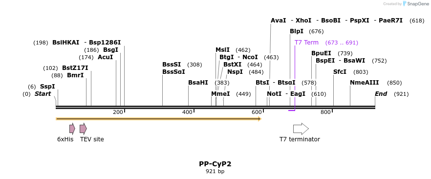 31186_map