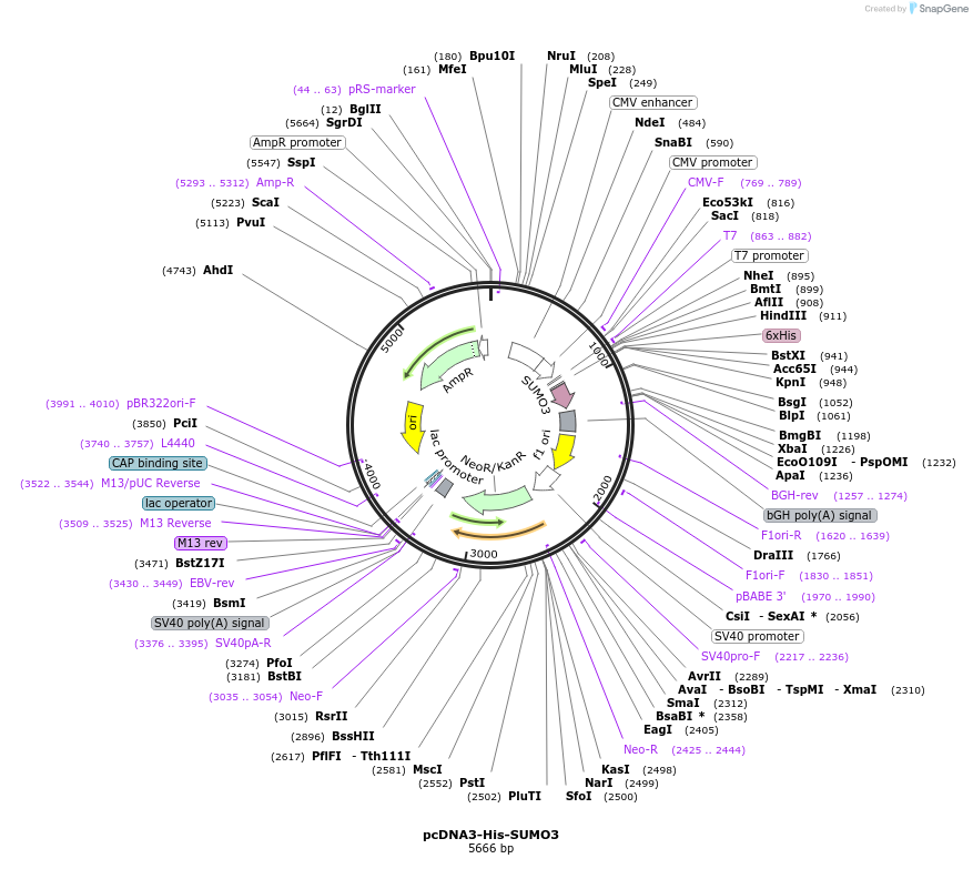 311868_map