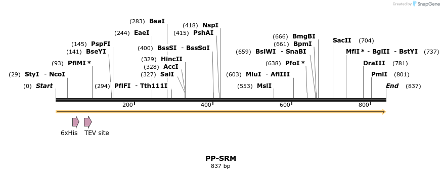 31187_map