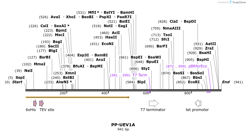 31188_map