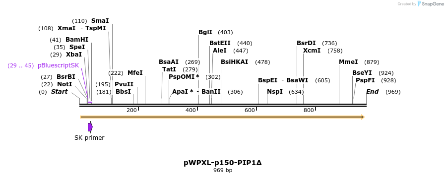 311888_map