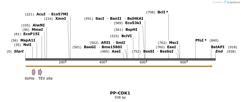 31189_map