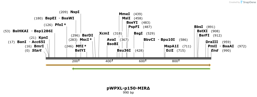 311890_map