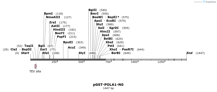 311891_map
