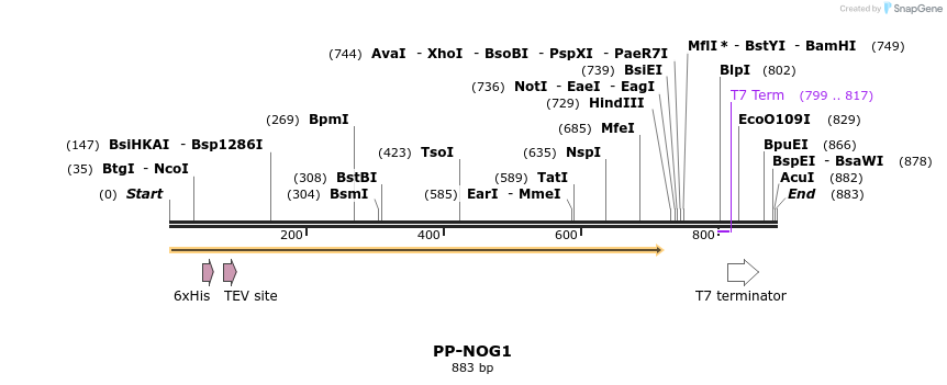 31190_map