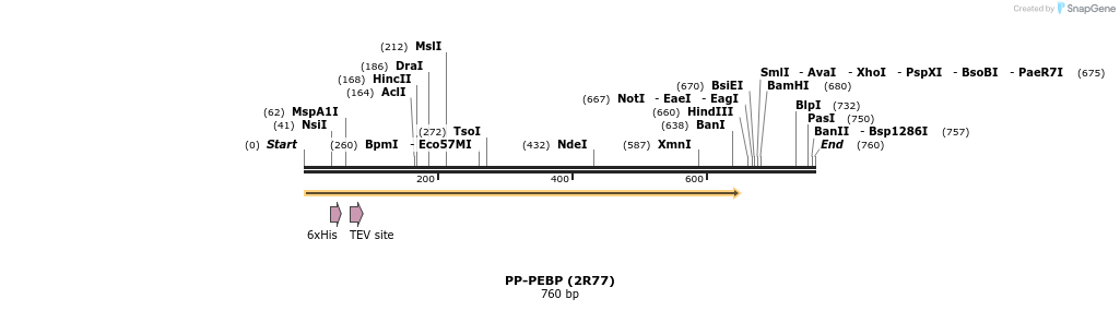 31193_map