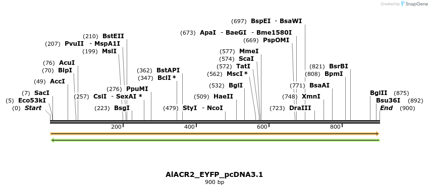 311966_map
