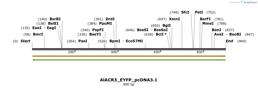 311967_map