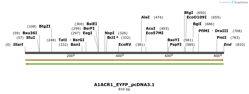 311968_map