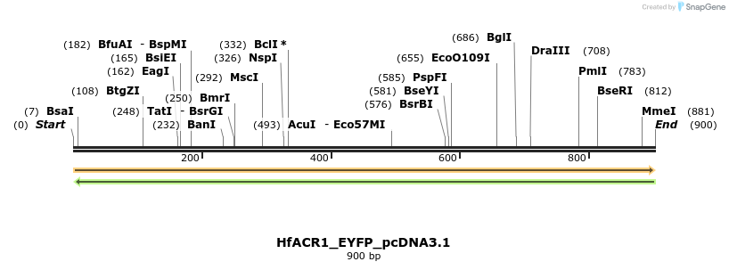 311969_map