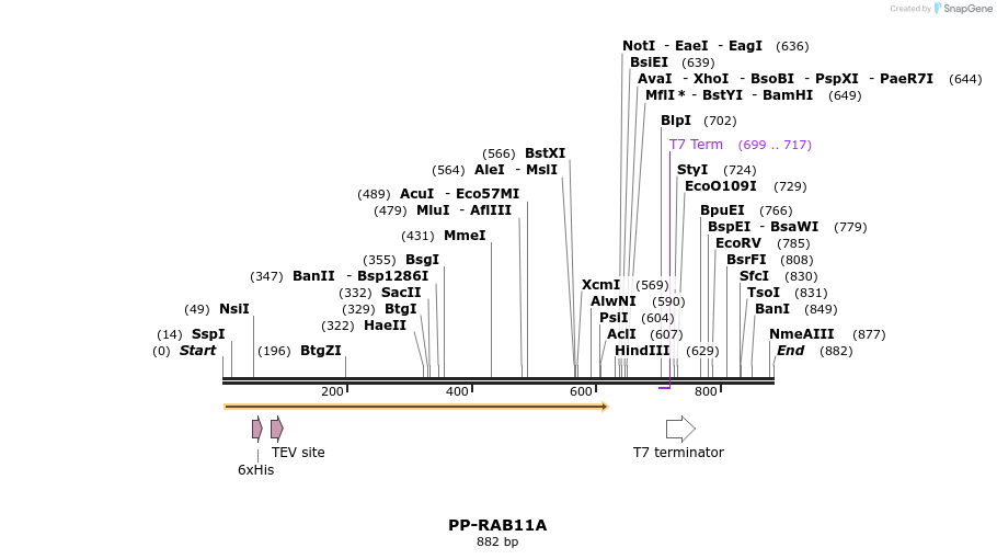 31197_map