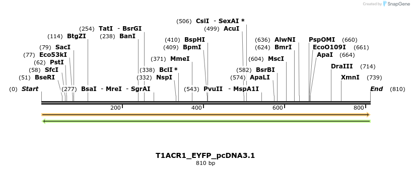 311971_map
