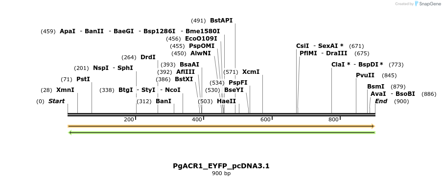 311972_map