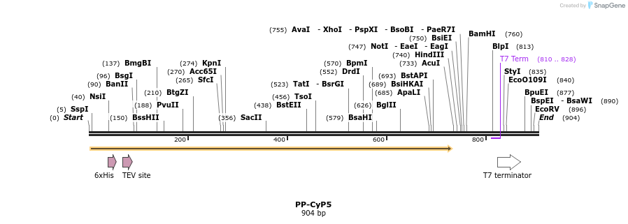 31198_map