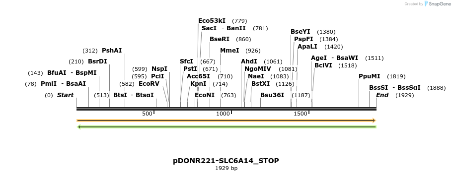 311997_map