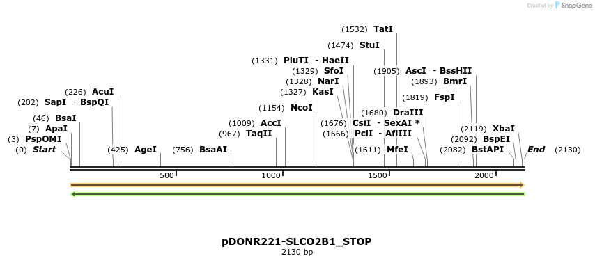 311999_map