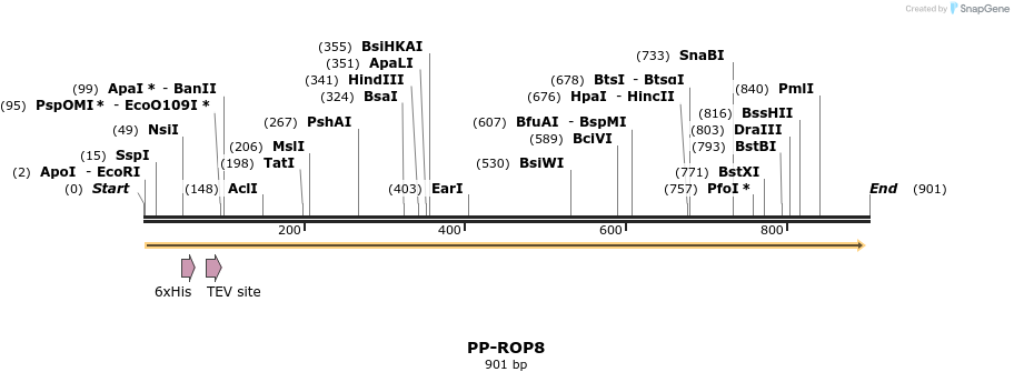 31200_map