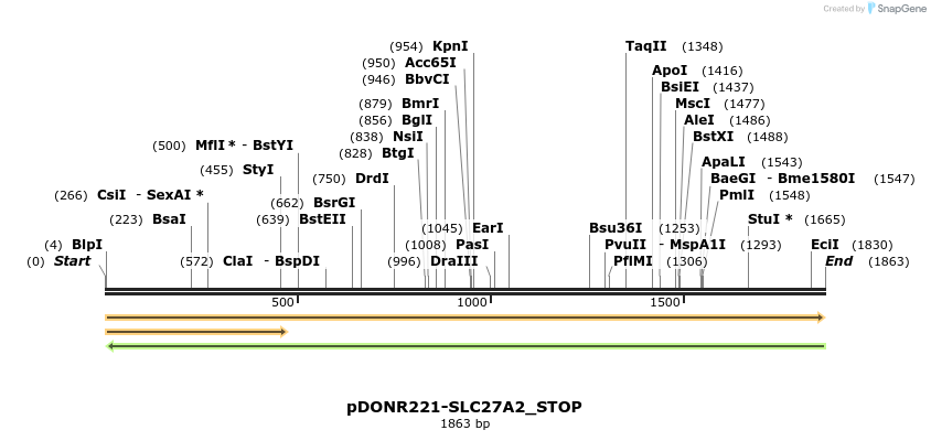 312001_map