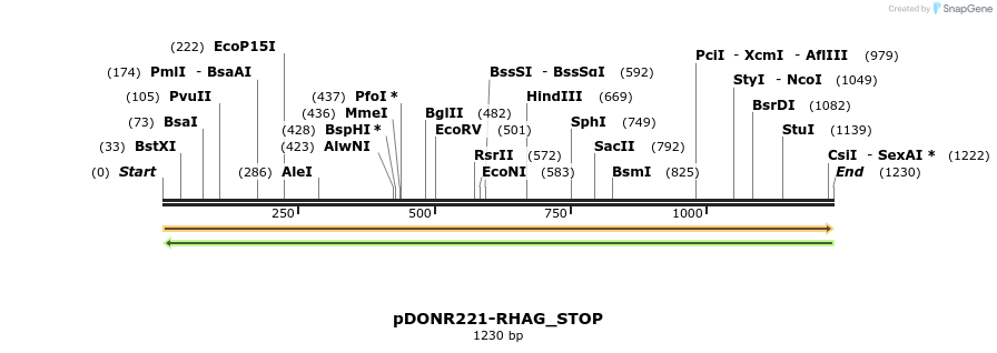 312009_map