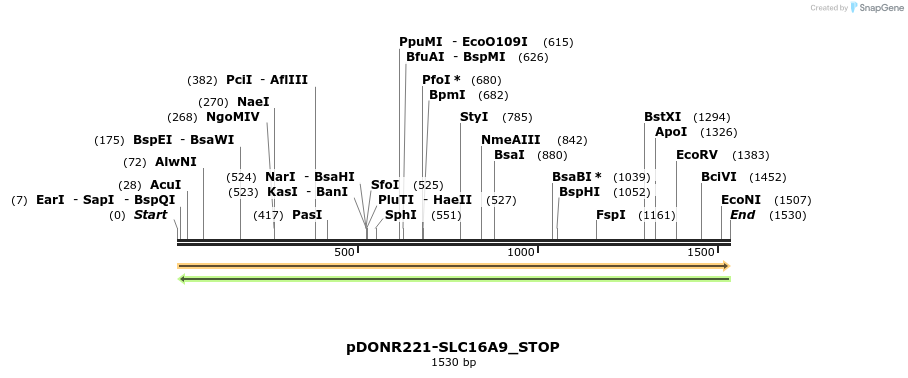 312019_map