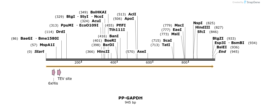 31202_map