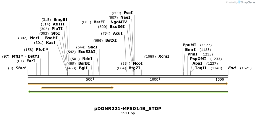 312029_map