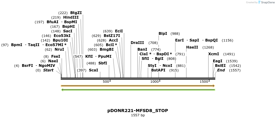312031_map