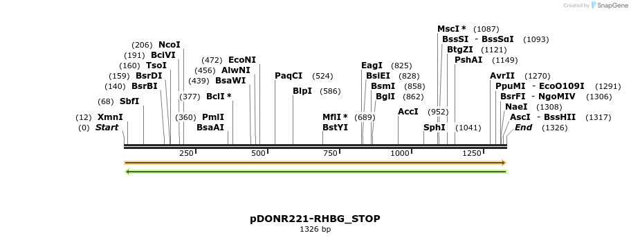 312033_map
