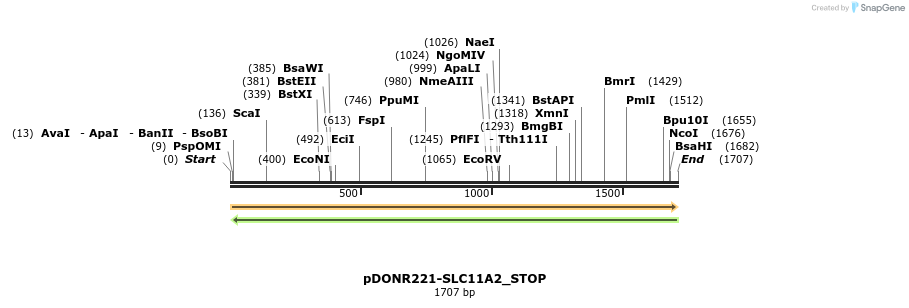312035_map