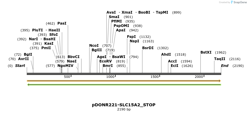 312039_map