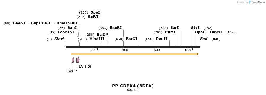 31204_map