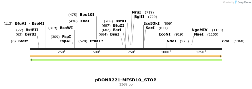 312047_map