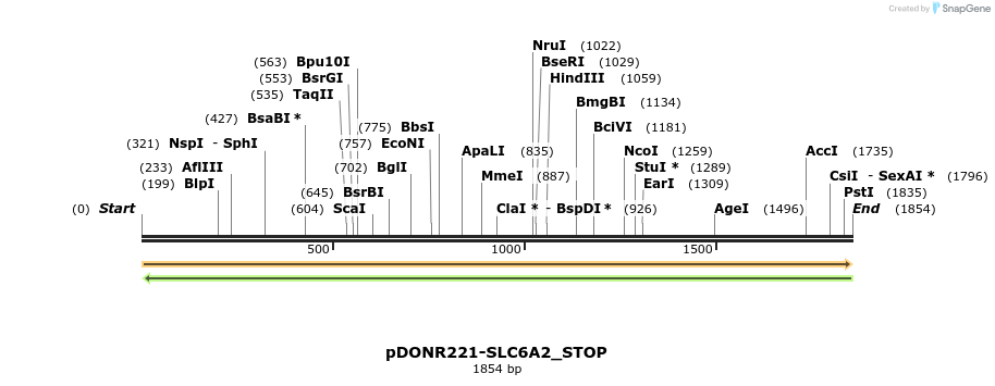 312049_map