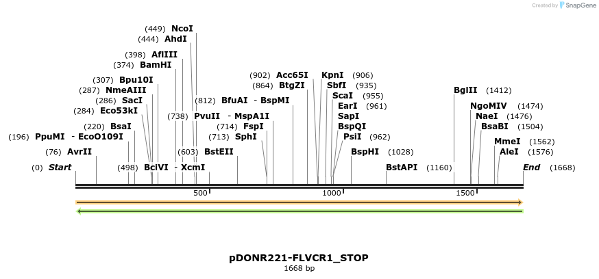 312051_map
