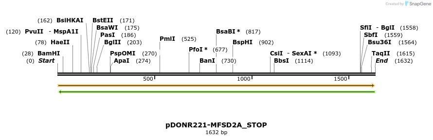 312053_map